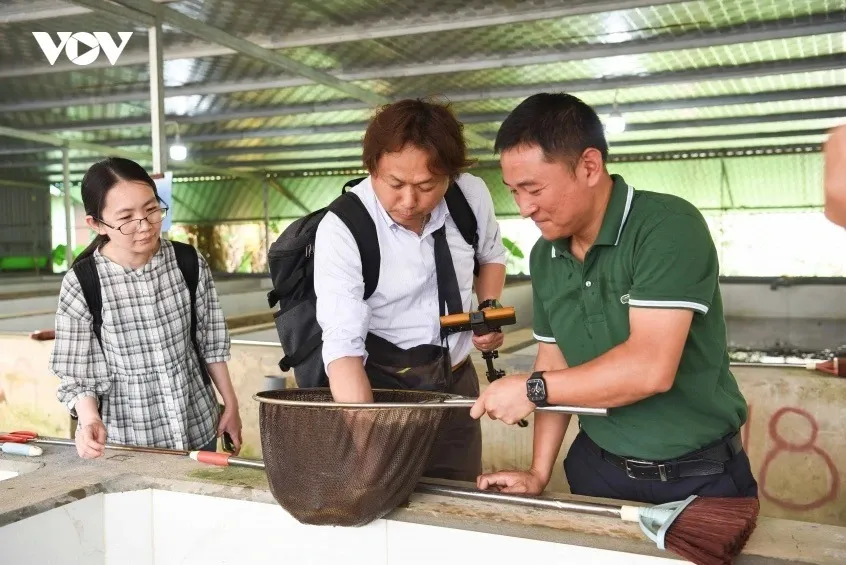 ベトナム北部最大級のウナギ養殖場を視察いたしました
